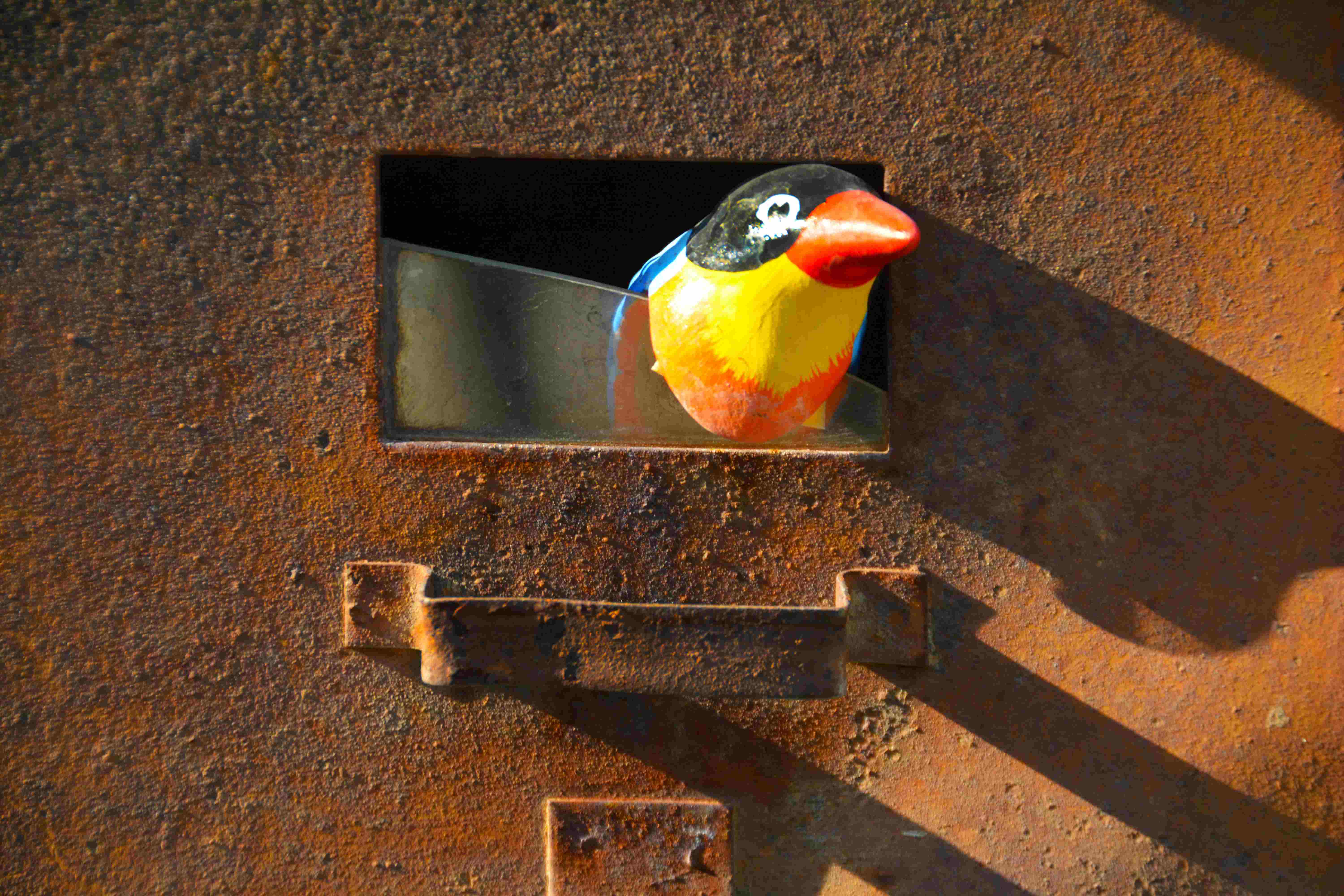 rust bird