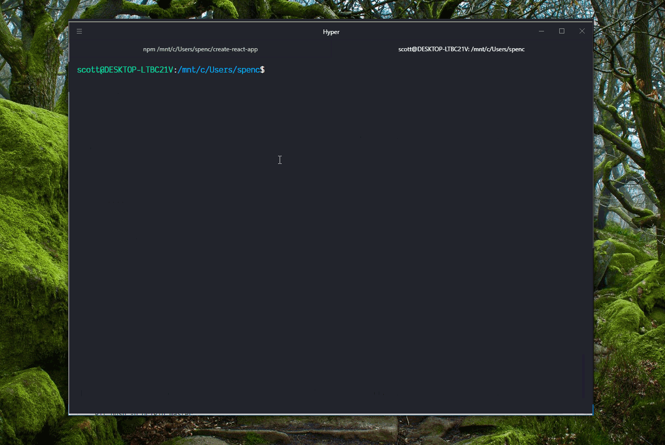 ssh config wsl